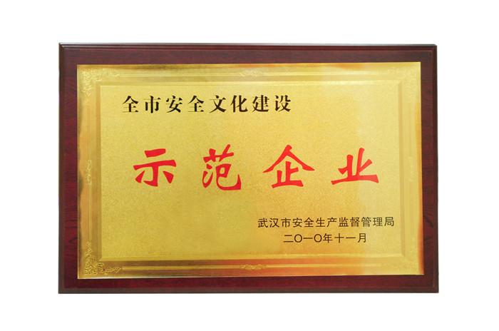 全市安全文化建設(shè) 示范企業(yè)